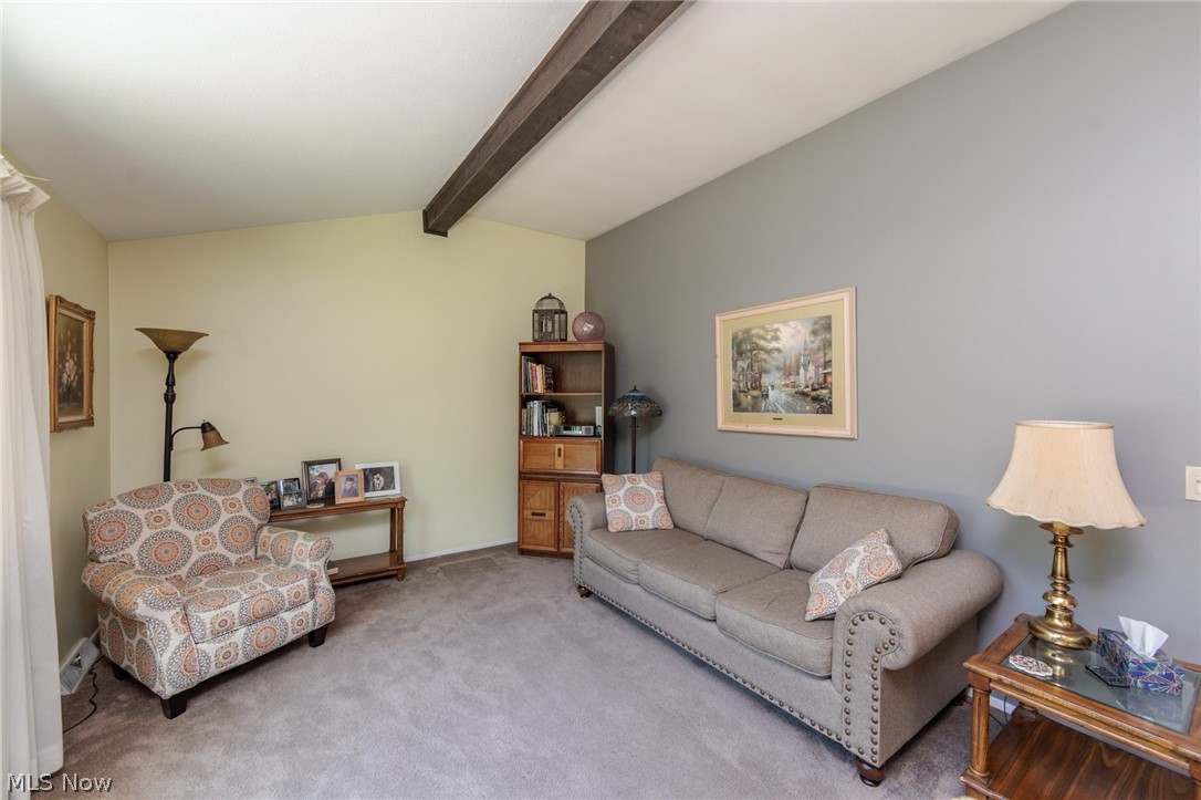 1421 Driftwood Lane Macedonia OH 44056