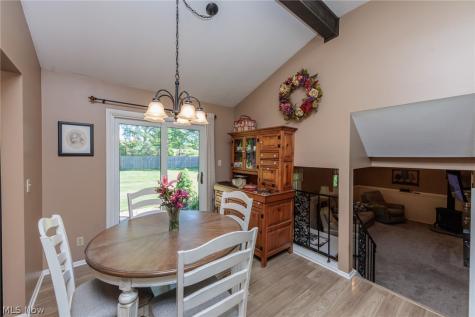 1421 Driftwood Lane Macedonia OH 44056
