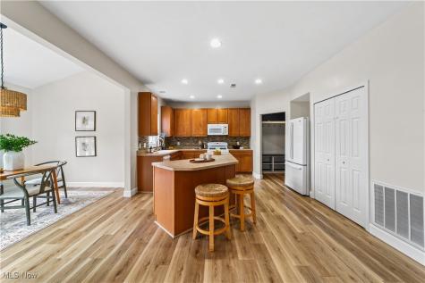 2368 Conrad Street Avon OH 44011