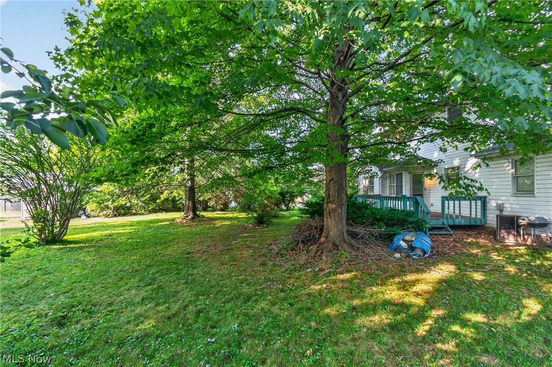 1667 Cadbury Street NW Massillon OH 44646