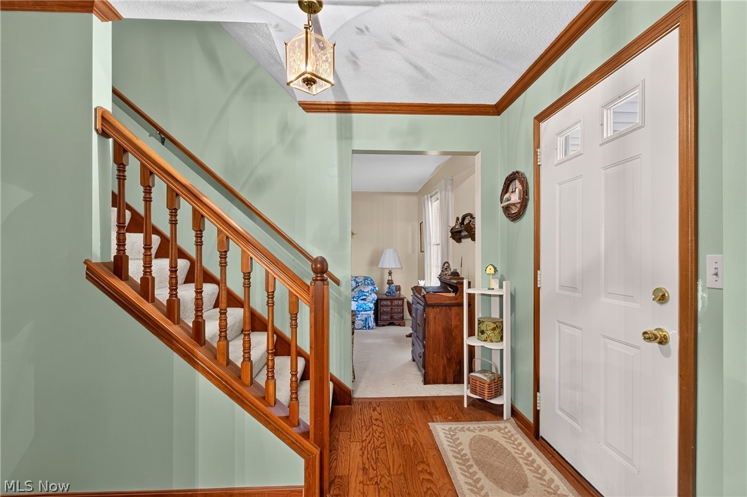 1667 Cadbury Street NW Massillon OH 44646