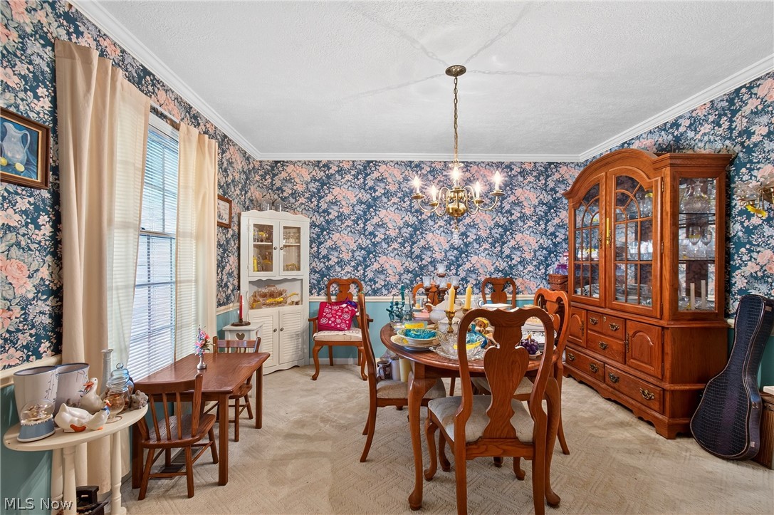1667 Cadbury Street NW Massillon OH 44646