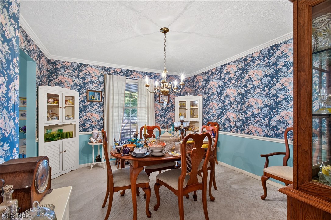 1667 Cadbury Street NW Massillon OH 44646