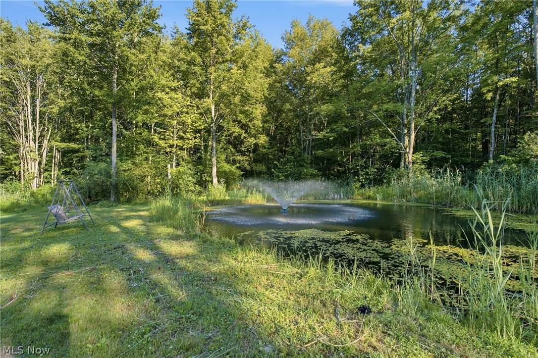 1318 Daly Road Ashtabula OH 44004