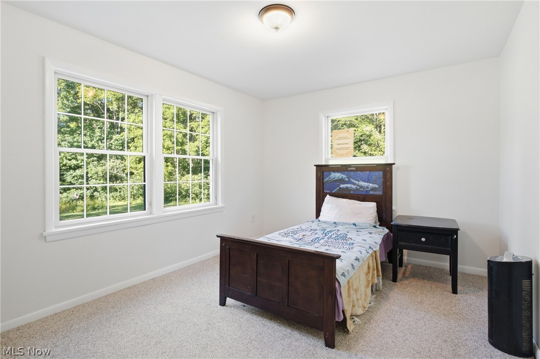 1318 Daly Road Ashtabula OH 44004