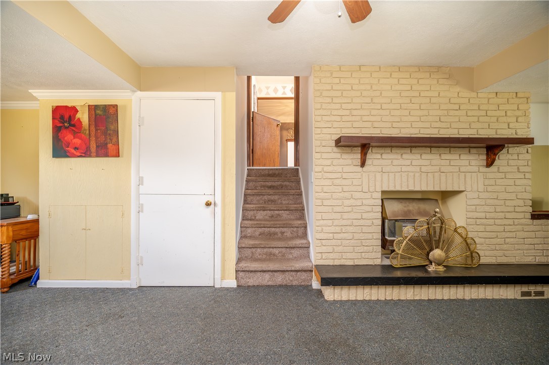 2922 Eldora Drive Youngstown OH 44511