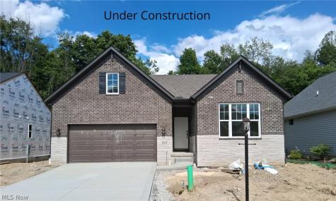 6113 Grey Heron Drive Medina OH 44256