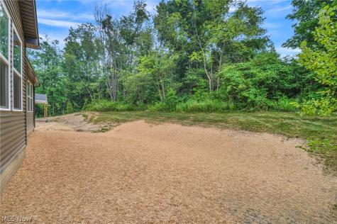 6113 Grey Heron Drive Medina OH 44256
