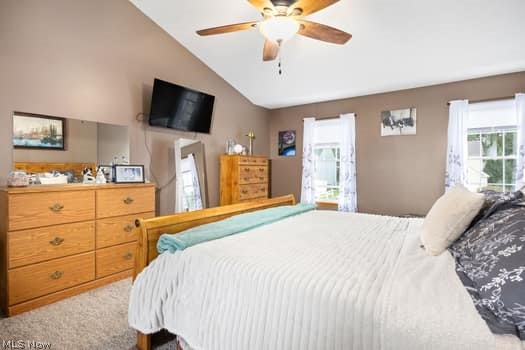 832 Queens Gate Way Wadsworth OH 44281
