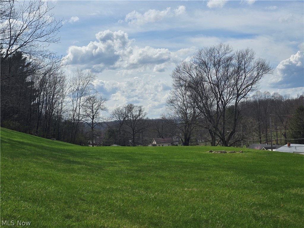 1865 Cassingham Hollow Drive Coshocton OH 43812