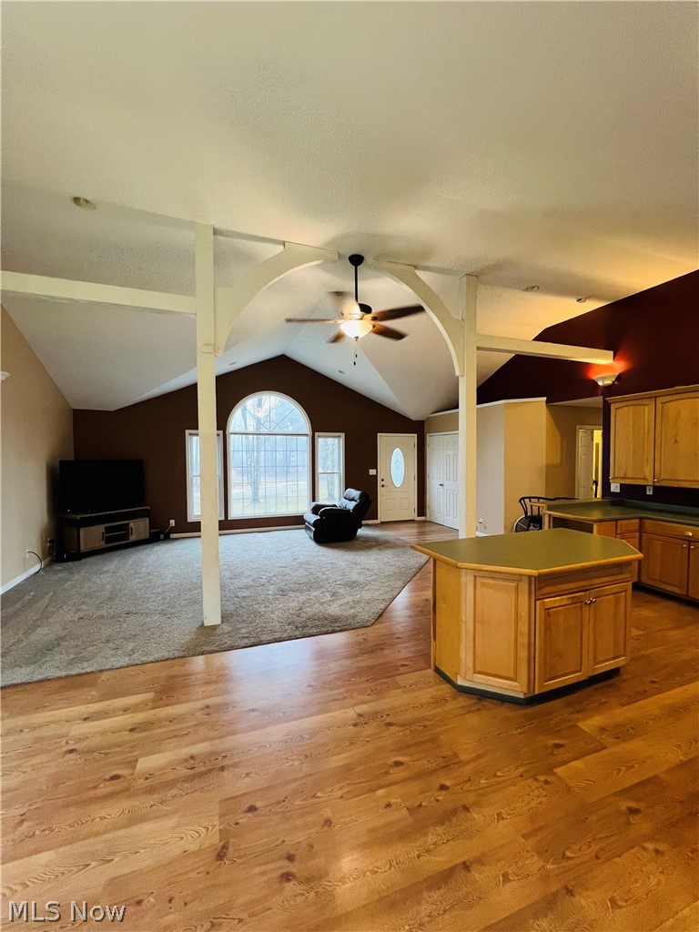 6453 Brandywine Drive Andover OH 44003