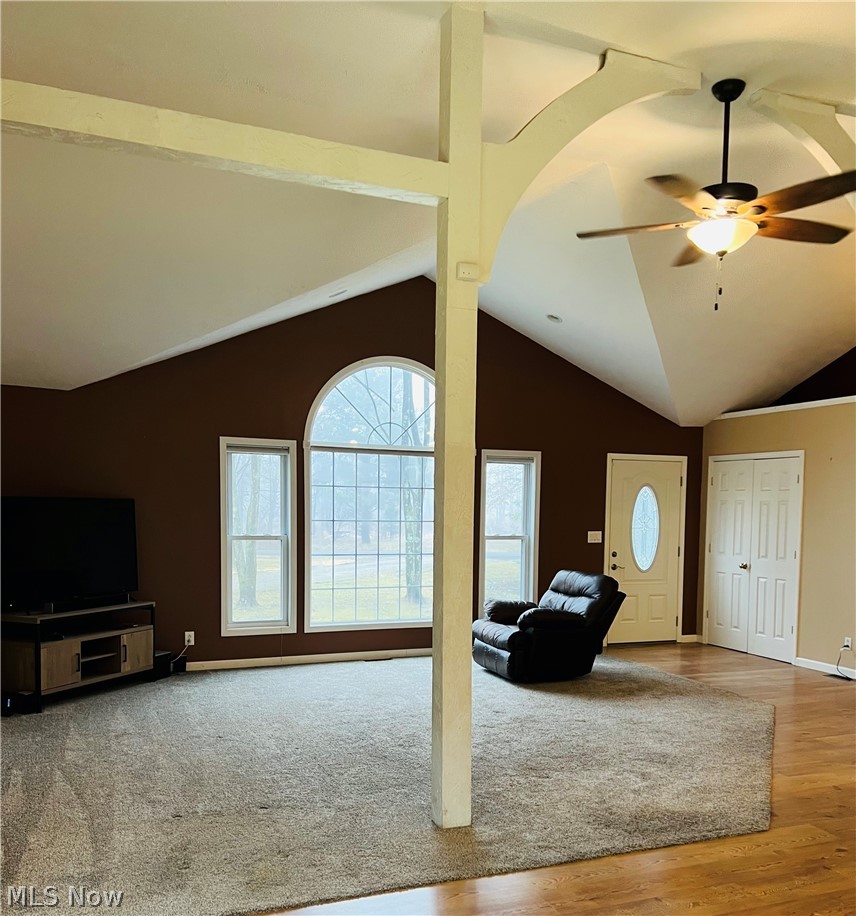 6453 Brandywine Drive Andover OH 44003