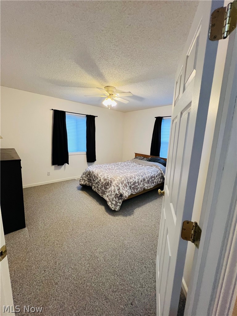 6453 Brandywine Drive Andover OH 44003