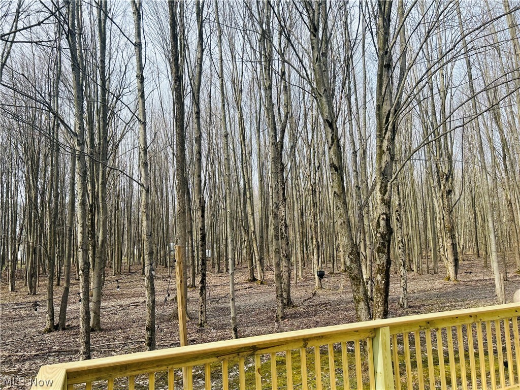 6453 Brandywine Drive Andover OH 44003