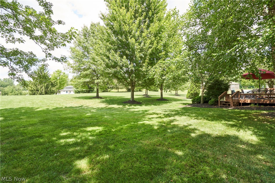 662 Heatherleigh Drive Akron OH 44333