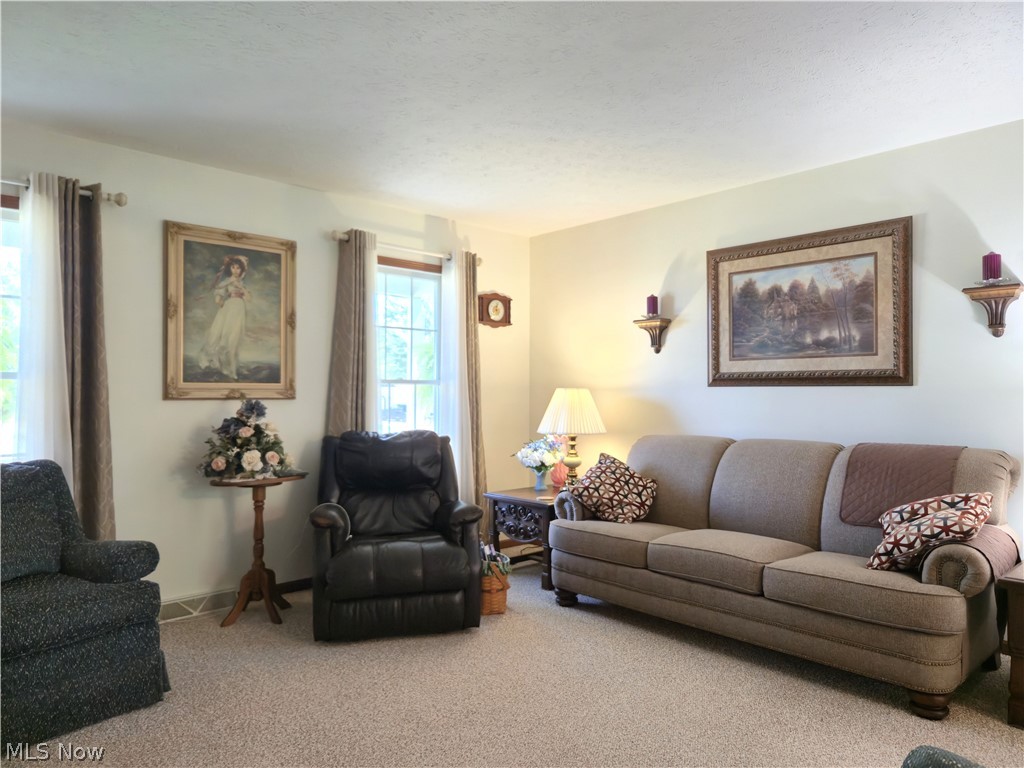 115 N Crestview Drive Creston OH 44217