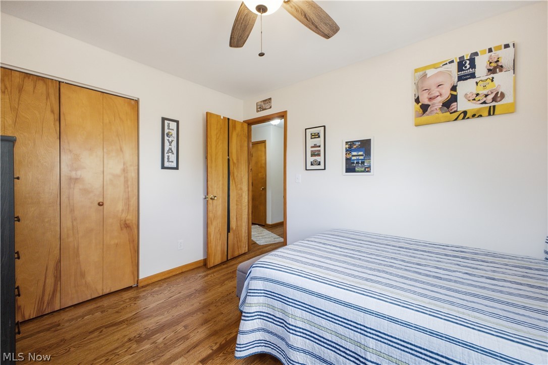 3656 High Meadow Drive Canfield OH 44406