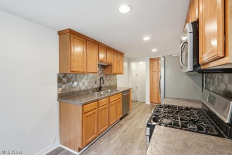 1628 Parker Drive Mayfield Heights OH 44124