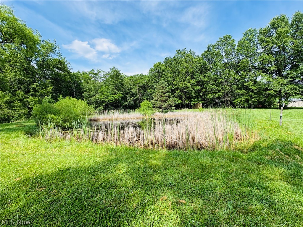 8591 Crow Road Litchfield OH 44253