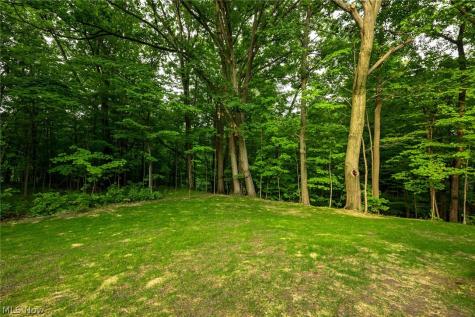 6567 Queens Way Brecksville OH 44141