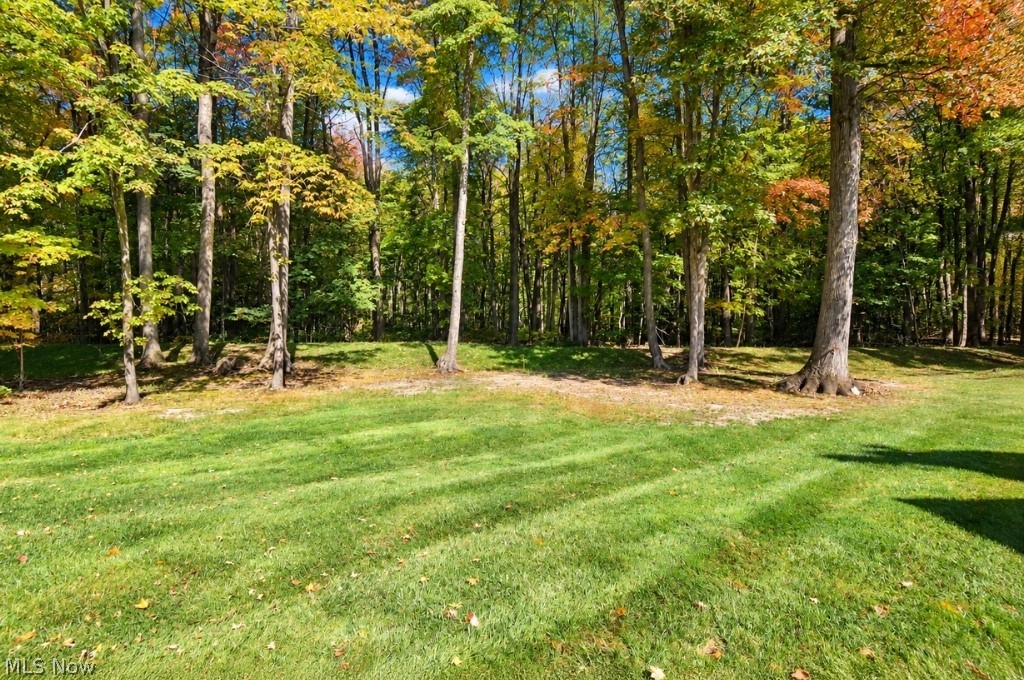 13537 Shirley Drive Leroy OH 44077