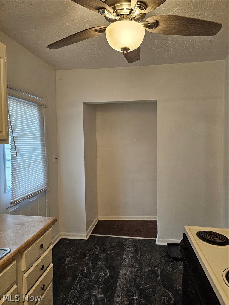 1318 W 5th Street Ashtabula OH 44004