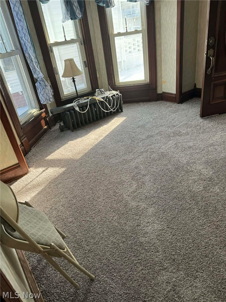238 Whitney Street Conneaut OH 44030
