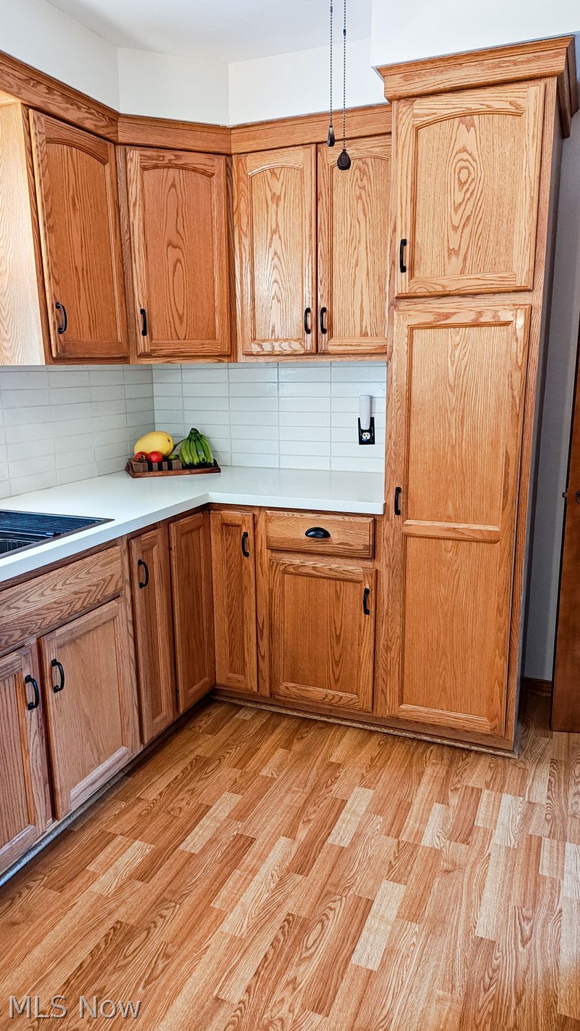 237 W Hopewell Drive Struthers OH 44471