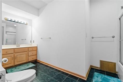 3855 Weymouth Woods Drive Medina OH 44256