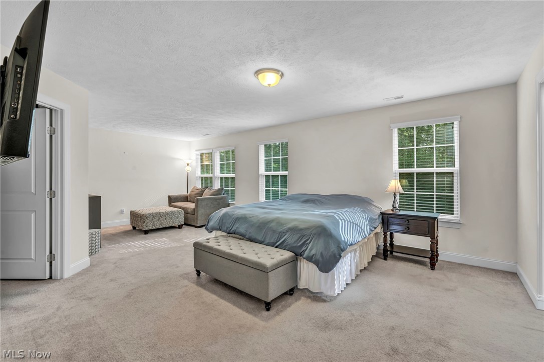 2711 Palmer Lane Avon OH 44011