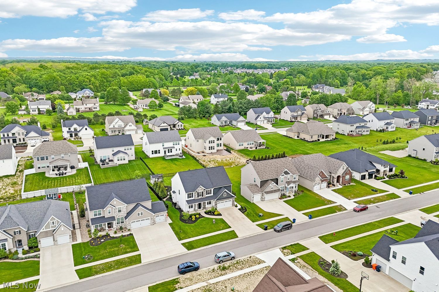 10703 Creek View Way Columbia Station OH 44028
