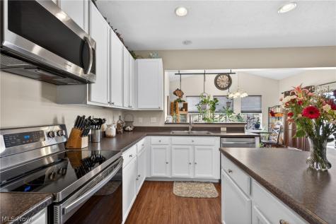 421 Greenfield Lane Painesville OH 44077