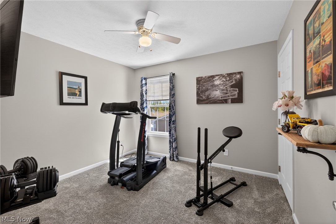 421 Greenfield Lane Painesville OH 44077