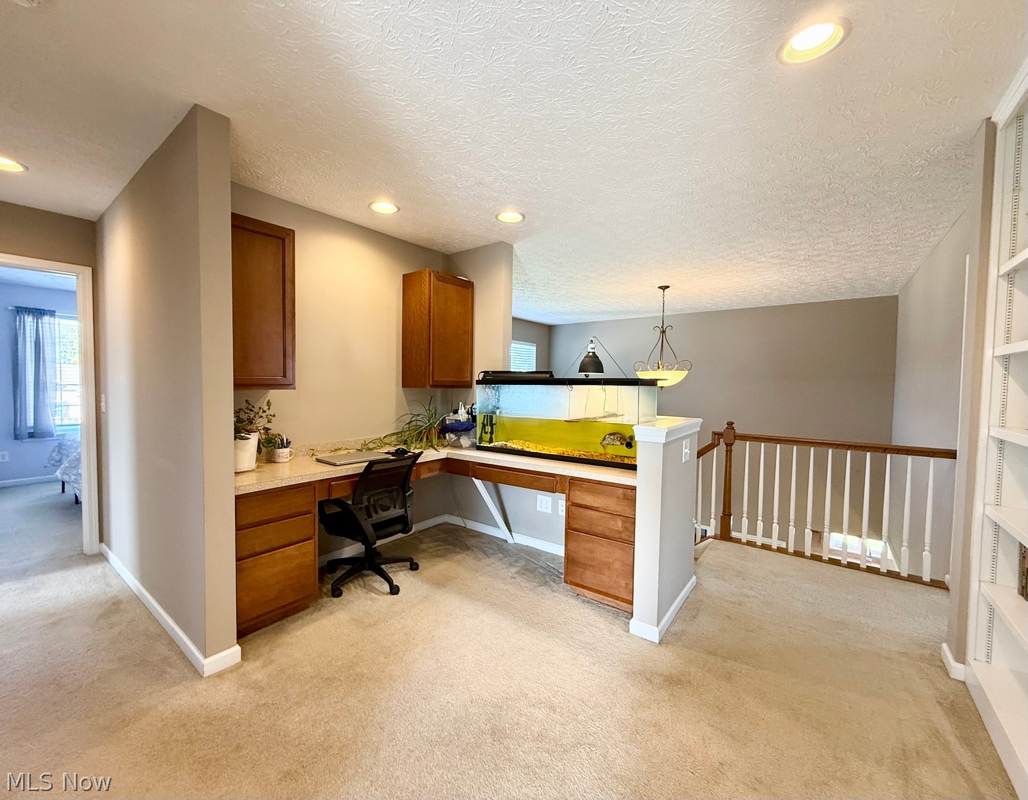 13152 Kensington Drive Grafton OH 44044