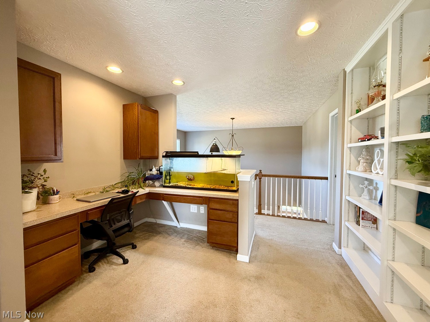 13152 Kensington Drive Grafton OH 44044