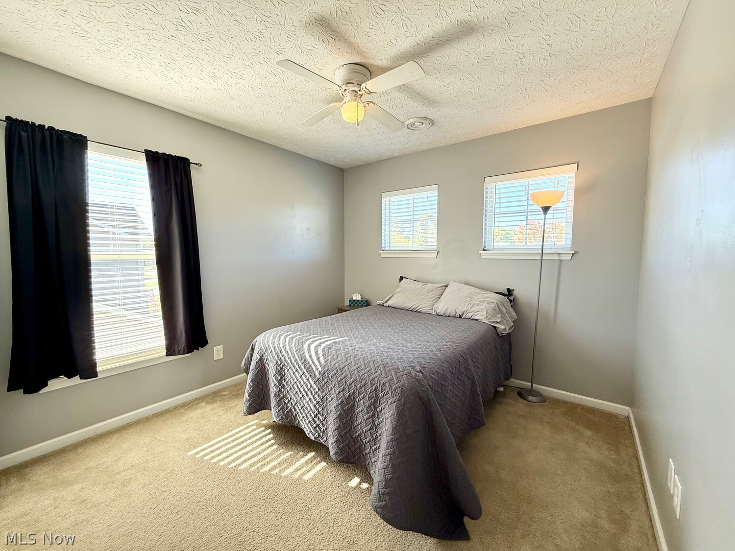 13152 Kensington Drive Grafton OH 44044