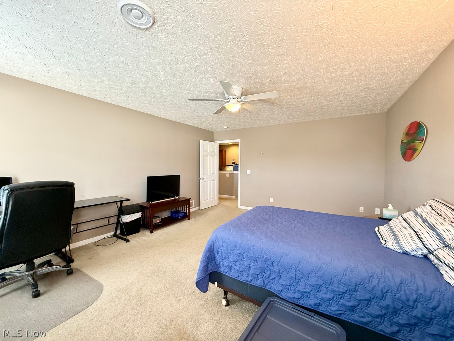 13152 Kensington Drive Grafton OH 44044