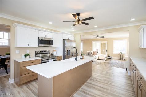 1478 Bunts Road Lakewood OH 44107