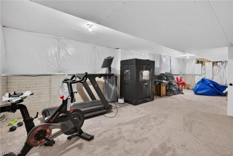 4413 Chaseline Ridge Brunswick OH 44212