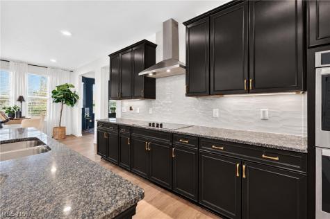 4413 Chaseline Ridge Brunswick OH 44212