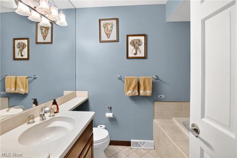 3519 Monterey Circle Brunswick OH 44212
