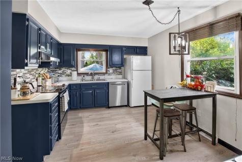 3519 Monterey Circle Brunswick OH 44212