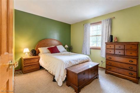 53 Bristol Avenue Painesville OH 44077