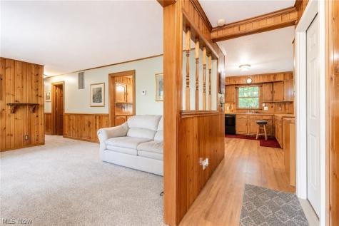 53 Bristol Avenue Painesville OH 44077