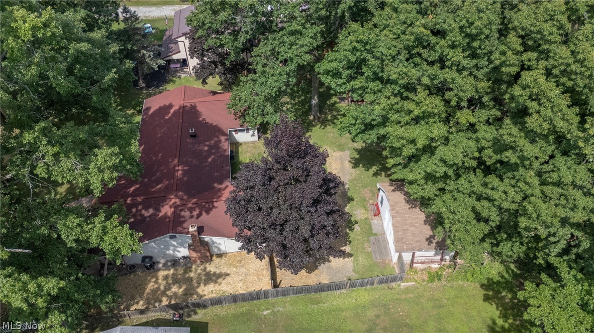 53 Bristol Avenue Painesville OH 44077