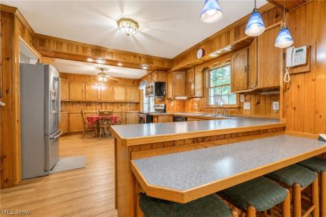53 Bristol Avenue Painesville OH 44077