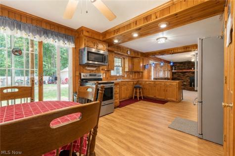 53 Bristol Avenue Painesville OH 44077