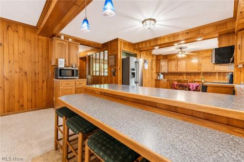 53 Bristol Avenue Painesville OH 44077