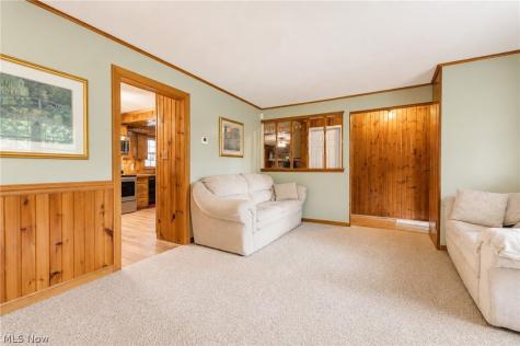 53 Bristol Avenue Painesville OH 44077