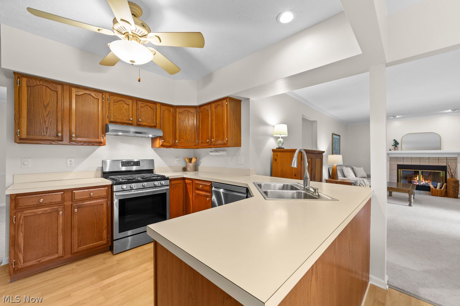 10030 Greenwich Drive Strongsville OH 44136